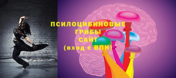 a pvp Бородино