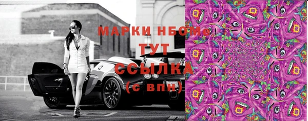 a pvp Бородино