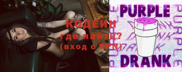 a pvp Бородино